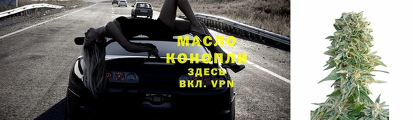 скорость Ельня