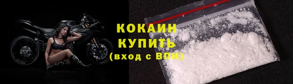 скорость Ельня