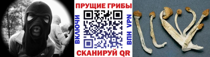 Псилоцибиновые грибы Magic Shrooms  Купить  Комсомольск 